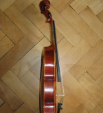 Krásna viola – fotka 2