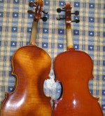 2 kusy 1/4 huslí – fotka 3